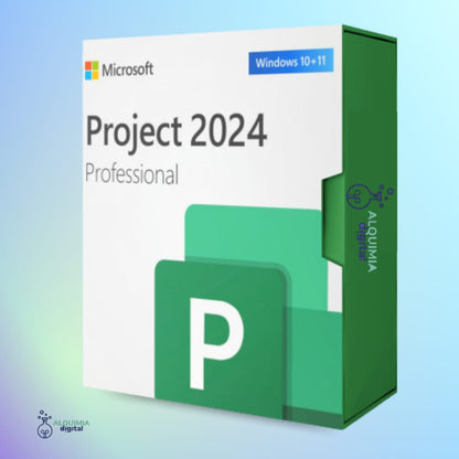 Project 2024 Professional - Alquimia Digital CL
