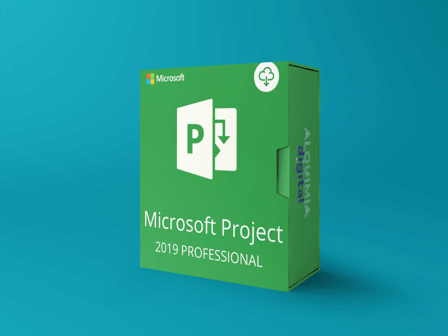 MS Project 2019 PRO - Alquimia Digital CL